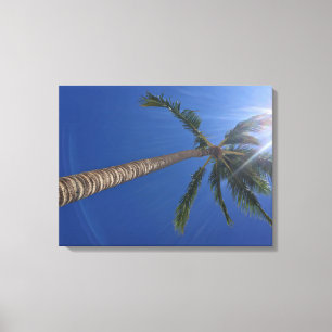 Majestic Palme mit Sun Rays Canvas Print Leinwanddruck
