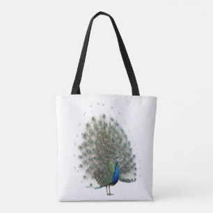 Majestic Peacock mit farbenprächtigem Schwanz