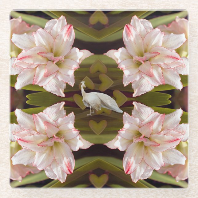 Majestic Peacock und Amaryllis Candy Cane Glasuntersetzer (Vorderseite)