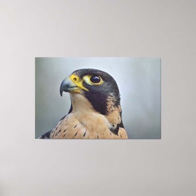 Majestic Peregrine Leinwanddruck (Vorderseite)