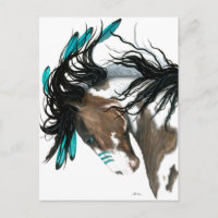 Majestic Pinto Post card Horle by Bihrle