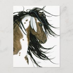 Majestic Pinto Post Card Pferd von Bihrle Postkarte