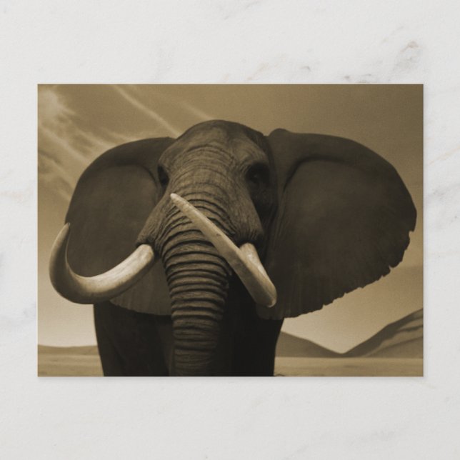 Majestic Postkarte (Vorderseite)