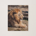 Majestic Puzzle<br><div class="desc">Männlicher Löwe</div>