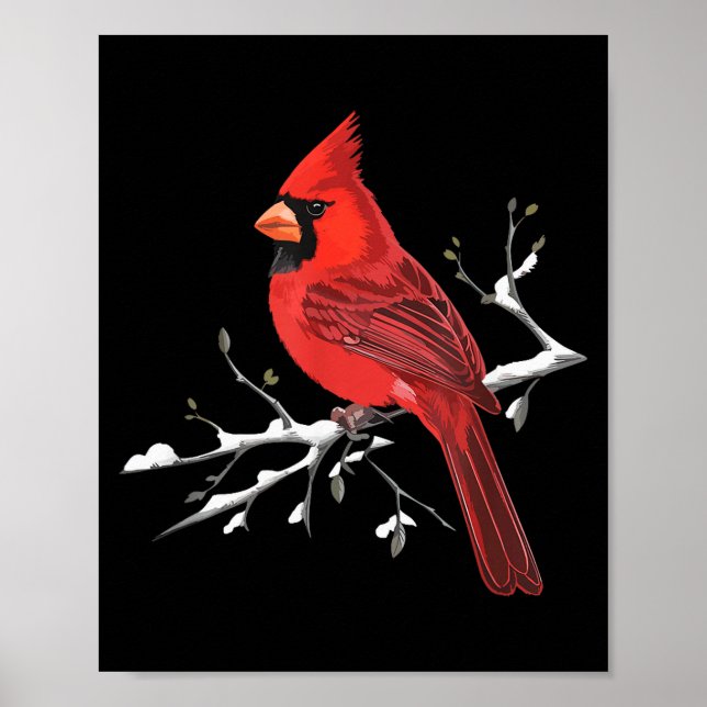 Majestic Red Cardinal Birdwatching Birdwatcher Bir Poster (Vorne)