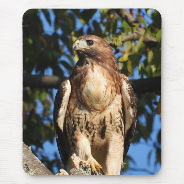Majestic Red Tail Hawk Mousepad (Vorne)