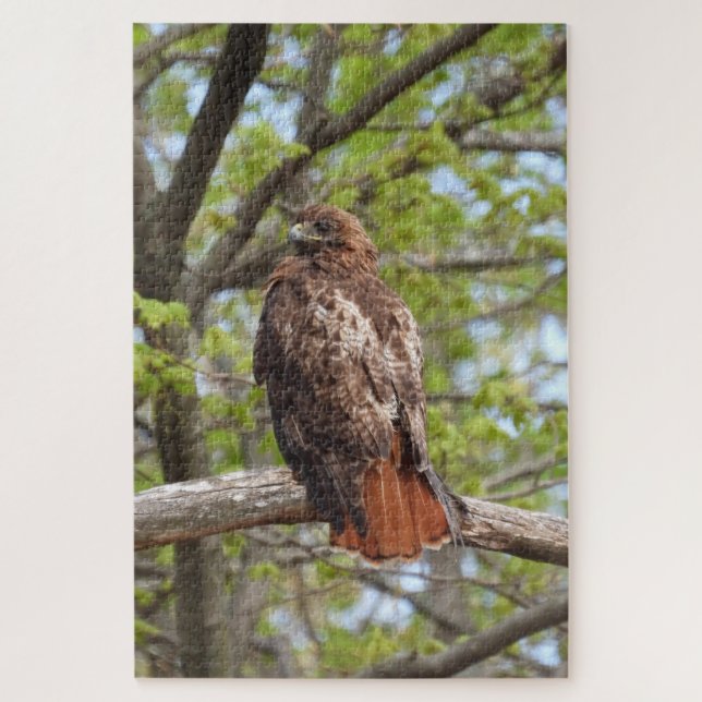 Majestic Red Tail Hawk Puzzle (Vertikal)