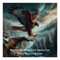 Majestic Red-Tail Hawk Soaring