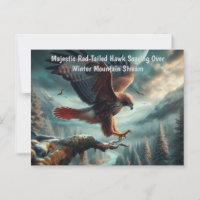 Majestic Red-Tail Hawk Soaring