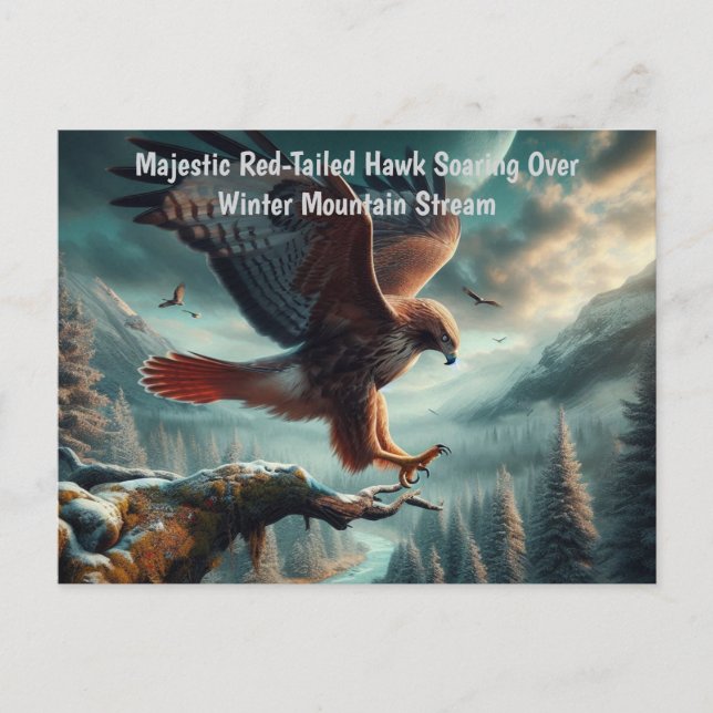 Majestic Red-Tail Hawk Soaring Postkarte (Vorderseite)