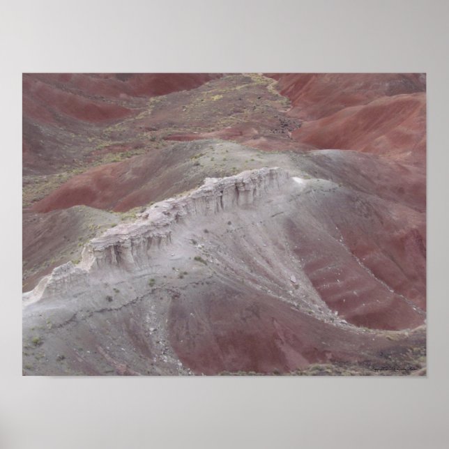 Majestic Schönheit der bemalten Wüste Poster (Vorne)