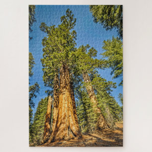 Majestic-Sequoia-Bäume Puzzle