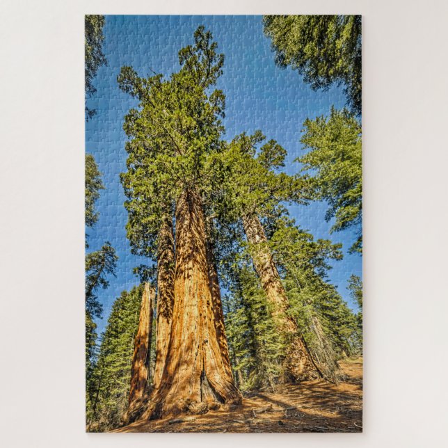 Majestic Sequoia Trees Puzzle (Vertikal)