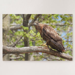 Majestic Stalking Red Tail Hawk Puzzle