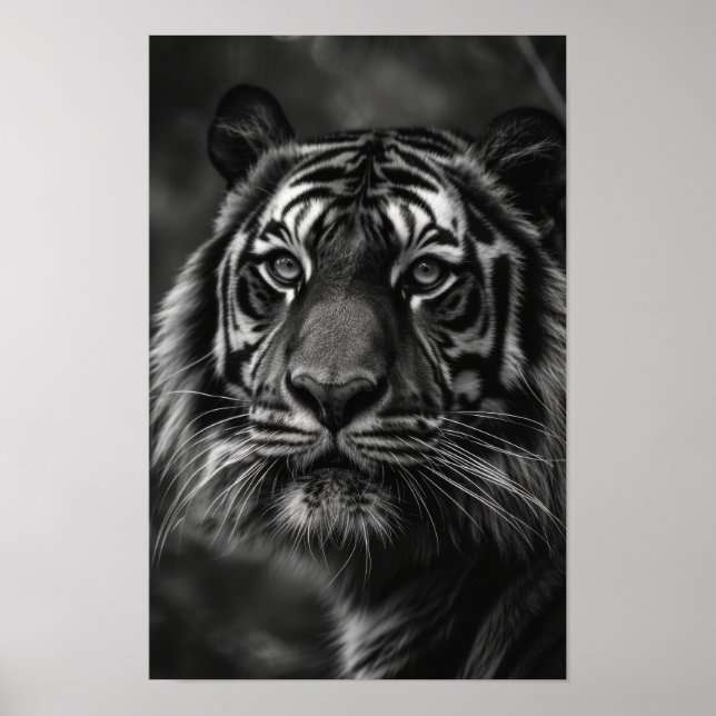 Majestic Tiger Portrait Fine Art Poster (Vorne)