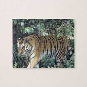 Majestic Tiger Puzzle