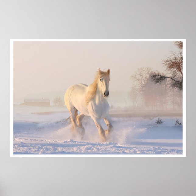 Majestic Weißes Pferd Poster (Vorne)