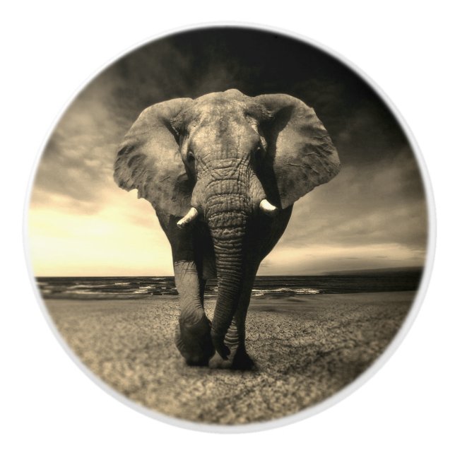 Majestic Wild Bull Elephant in Sepia Keramikknauf (Vorderseite)