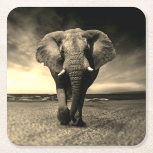 Majestic Wild Bull Elephant in Sepia Rechteckiger Pappuntersetzer