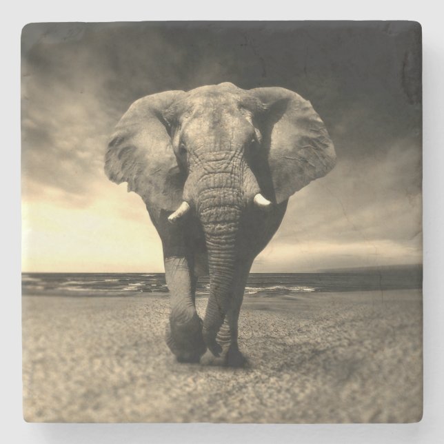Majestic Wild Bull Elephant in Sepia Steinuntersetzer (Vorderseite)