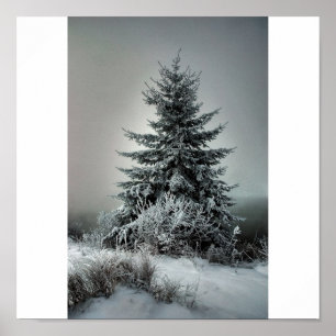 Majestic Winter Poster