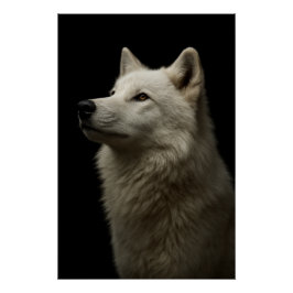 Majestic Wolf Portrait Strength & Royal Confidence Poster
