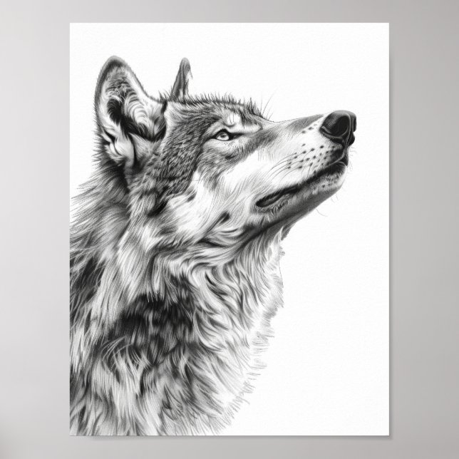 Majestic Wolf Staring auf Sky Sketch Poster (Vorne)