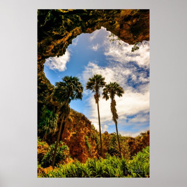 Makauwahi Cave Palm Trees, Kauai, Hawaii Poster (Vorne)