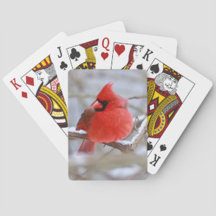 Make_Cardinal_Carten Spielkarten