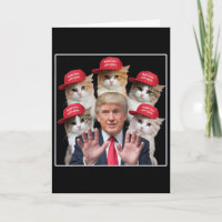 Make Cats Safe Again Trump 2024 Rote Mütze Make Pe