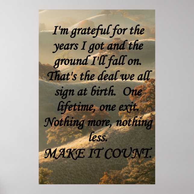 Make It Count Poster (Vorne)