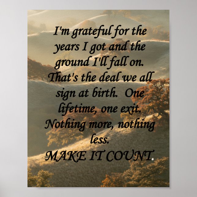 Make It Count Poster (Vorne)