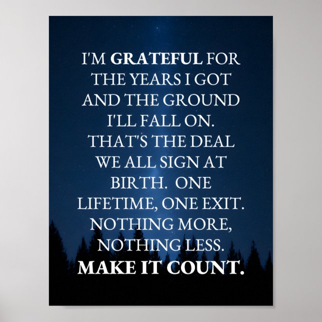 Make It Count! Poster (Vorne)