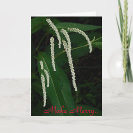 Make Merry Feiertagskarte