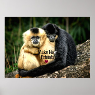 "Make New Friends" Poster