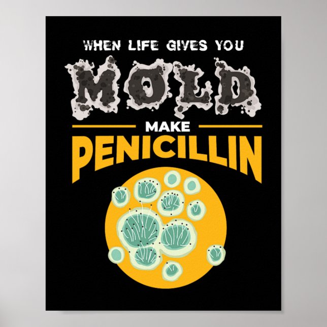 Make Penicillin Microbiology Chemistry Poster (Vorne)