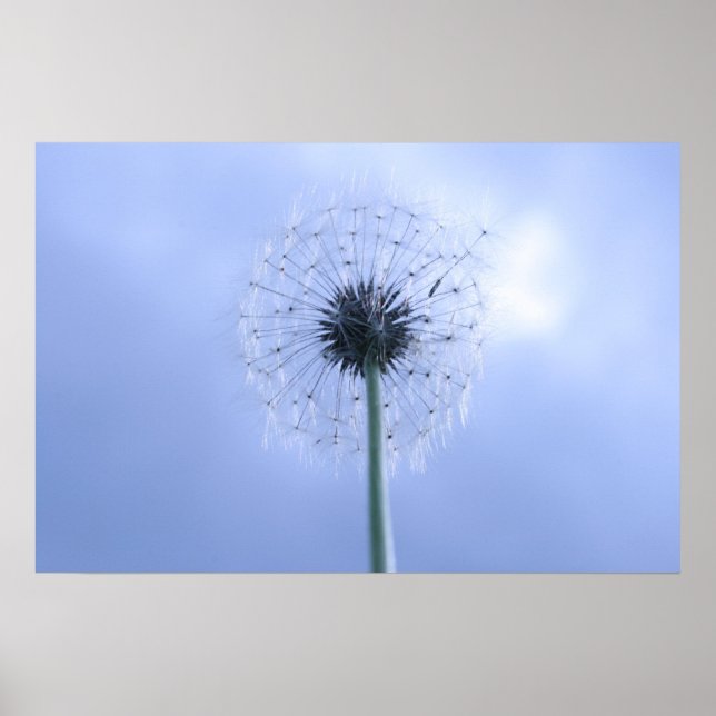 Makin' Wünsche Poster (Vorne)