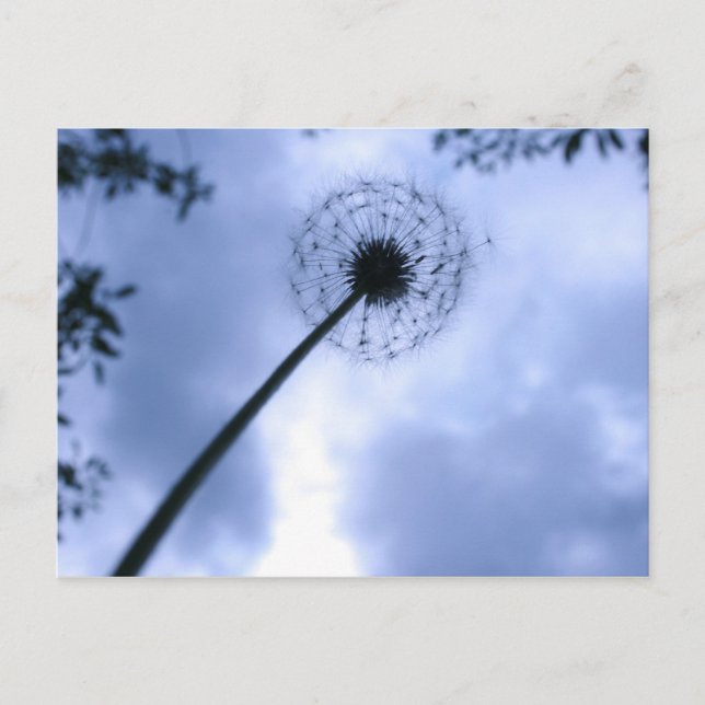 Makin' Wünsche Postkarte (Vorderseite)