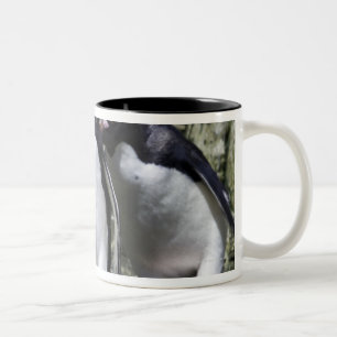 Makkaroni-Pinguine, Südgeorgia Zweifarbige Tasse
