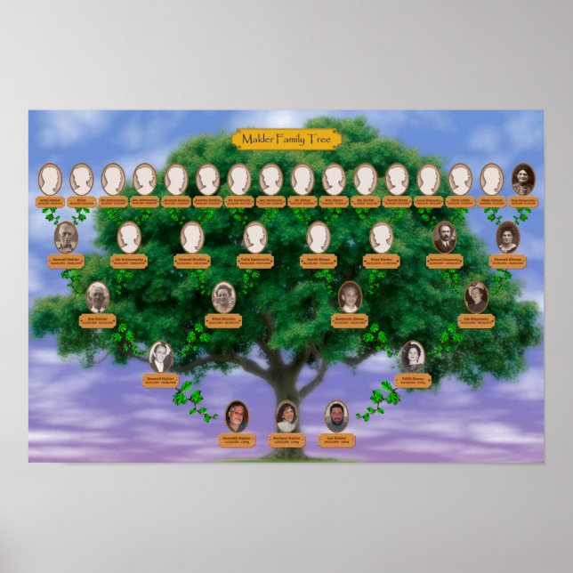 Makler-Familie Tree - 19 x 13 Poster (Vorne)