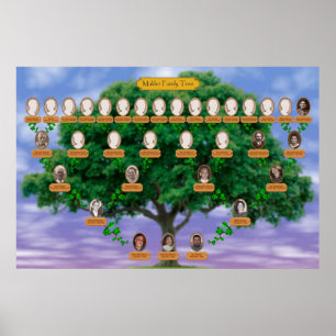 Makler Stammbaum Poster
