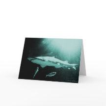 Mako-Haifischleerkarte