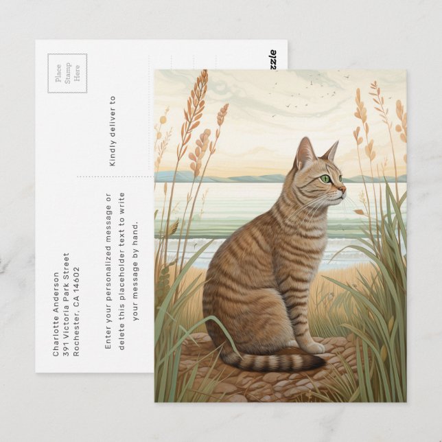 Makrelen-Tabby-Katze am Strand Postkarte (Vorne/Hinten)