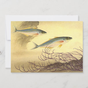 Makrelenfische Schwimmen im Ozean Einladung