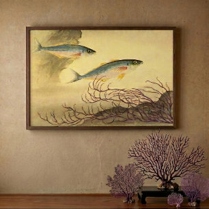 Makrelenfische Schwimmen im Ozean Poster