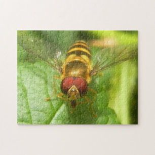 Makro Bee Insect Foto Nature Puzzle