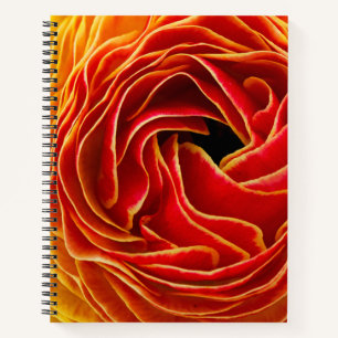 Makro-Blume Blumenfelder Carlsbad, CA Notizbuch