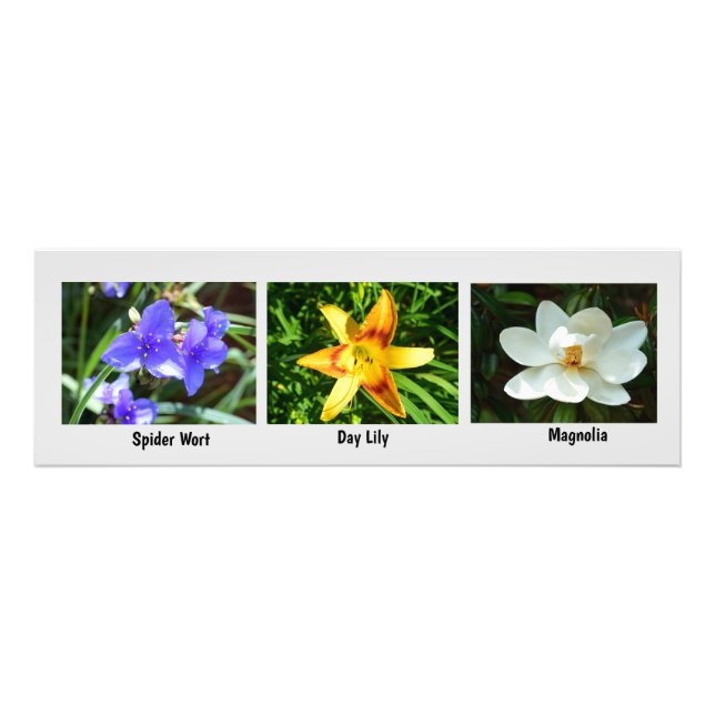 Makro-Blume Foto Erweiterung (Vorne)