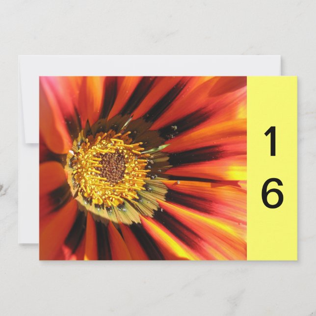 Makro Blume Sweet 16 Einladung (Vorderseite)
