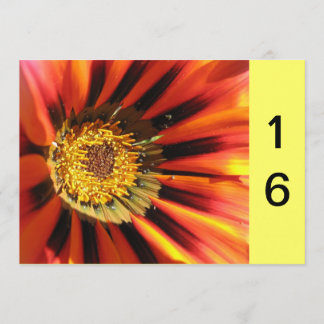 Makro Blume Sweet 16 Einladung